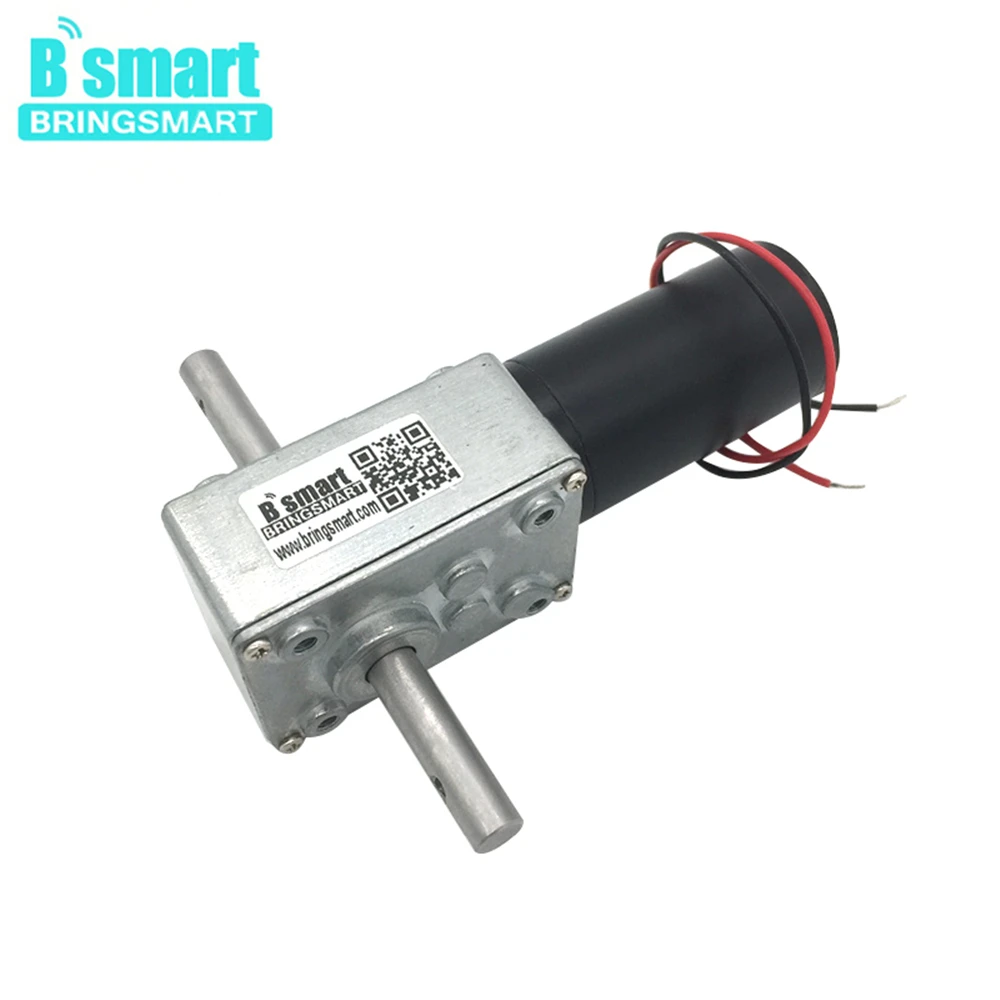Bringsmart 24v Dc Worm Gear Motor 584031zy Double Shaft 12v Dc Motor