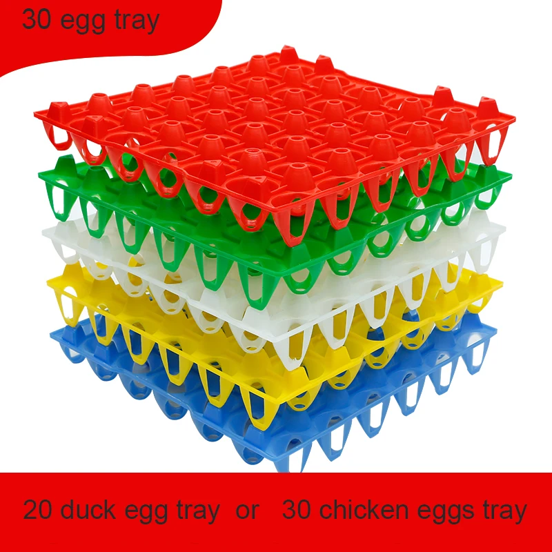 30 egg tray5