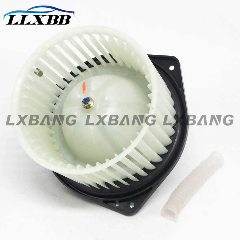 7802A017 (2).jpg