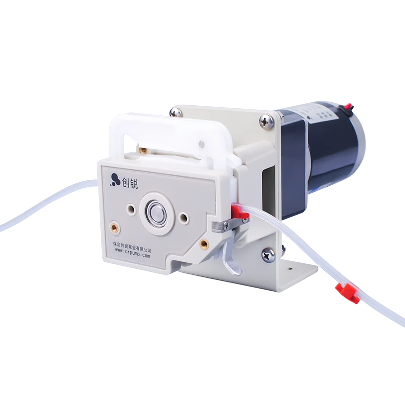 Oem Mini Peristaltic Pump Dg Head Buy Oem Peristaltic Pump,Mini