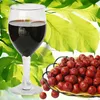 Natural organic fresh red date concentrate juice for vitamin D water freeze drink