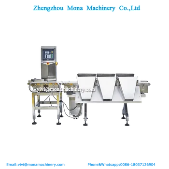 frozen food processing equipment