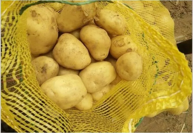Свежий картофель, Пакистан Свежий картофель, Франция