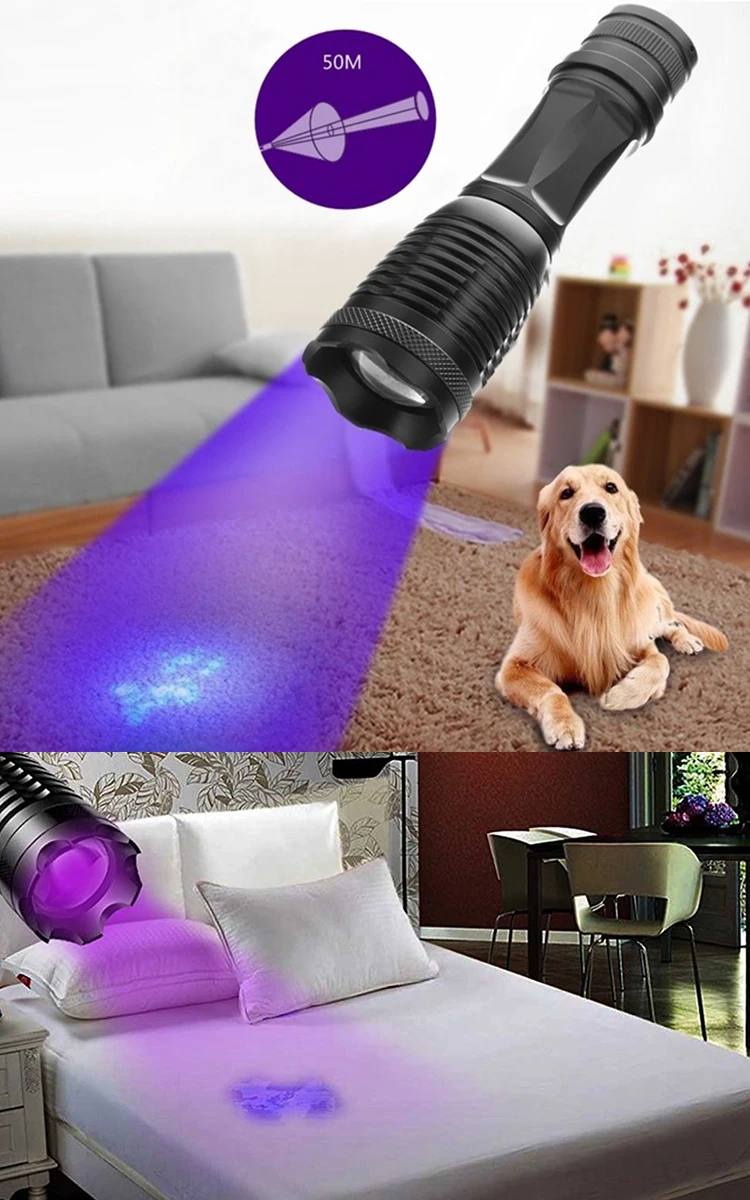 Purple Zoom Light 2mode Uv Crack Detection Dog Urine Pet Stains Bed Bug