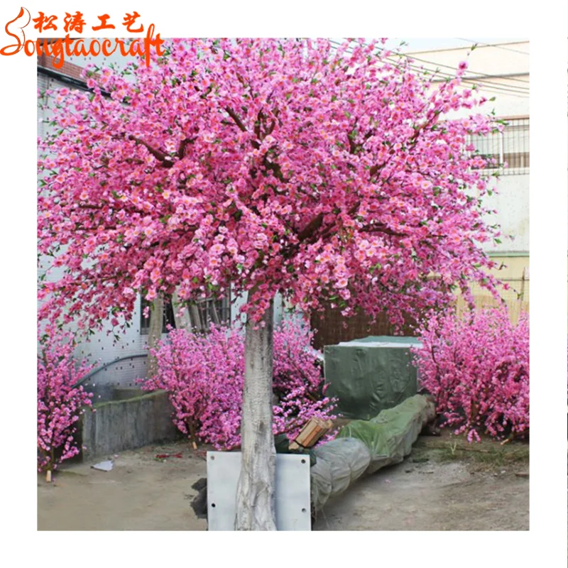 Cherry Blossom Tree For Sale
