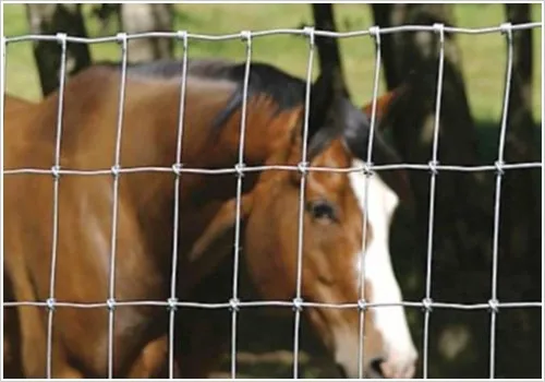 berita perusahaan terbaru tentang 4ft 5ft 6ft 8ft pagar tinggi peternakan kambing padang rumput pagar lapangan murah  0
