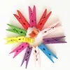 Hot Sale Colorful Multi Size Wooden Pegs
