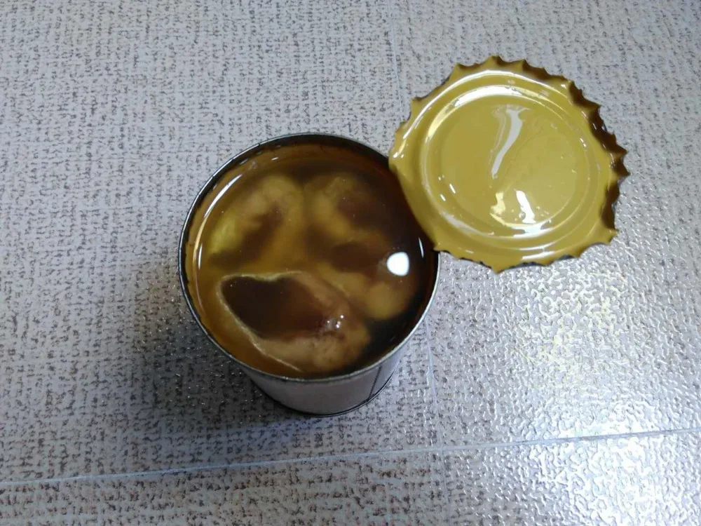 sardine in oil 45