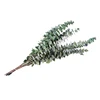 High quality home office wedding decor natural leaves Branches preserved eucalyptus stems