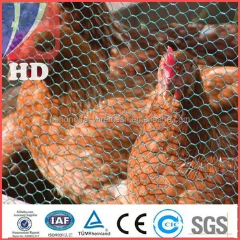 Gal Or Pvc Chicken Coop Wire Netting Poultry Mesh Buy Chicken Coopchicken Coop Wire Nettingpoultry Mesh Product On Alibabacom