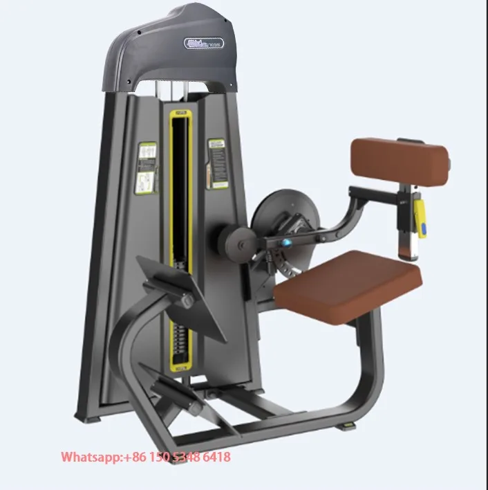 back exercise machine price