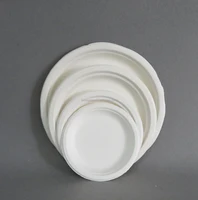 

Biodegradable Disposable Sugarcane Bagasse Party Plate