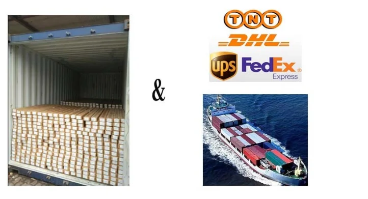 paste-pic-dp_uuid_wdzi0