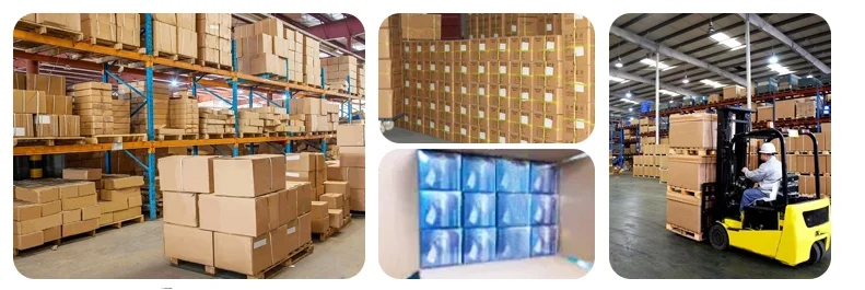 paste-pic-dp_uuid_zlbf7