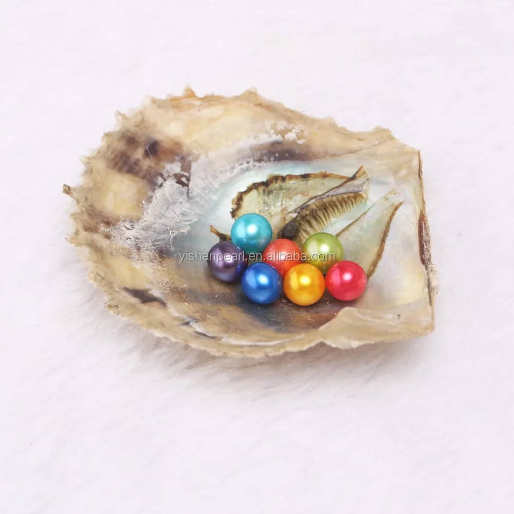

7 Pcs 6-7mm Pearls in Akoya Oyster Rainbow Color Round Natural Pearl Vacuum Packed for Pearl Party as Amazing Gift