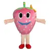 HI fruit devil costume/costumes/mascot costume