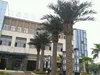 fake coconut tree Resist wind,frost,rain,UV,snow&decay artificial palm tree