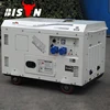 BISON(CHINA) BS12000SE 10kw 10kva Air-cooled Wind Single Phase Diesel Generator 10KW