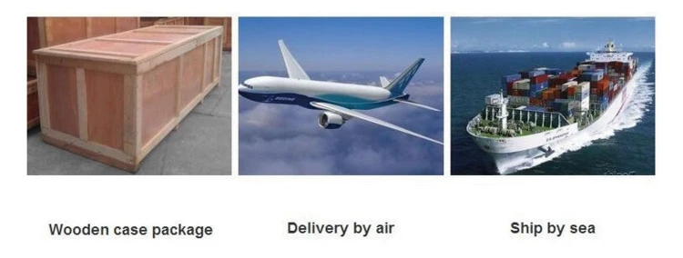 Saving power commercial used vegetable drying machine / onion / ginger /garlic dehydrator