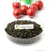 Slow release fertilizer Di Ammonia Phosphate (DAP)