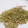 Food grade supply factory price new arrival custom made small fennel