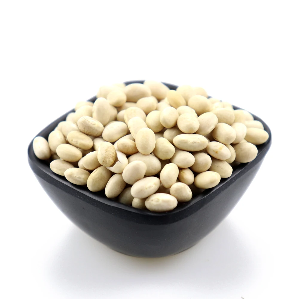 
Bulk Dried White Kidney Beans For Canned Food With Best Price 