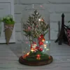 2019 China Cheap Wholesale Christmas Decoration Microlandscape Led Night Lamp Christmas Gift Mini Views In Glass Cover