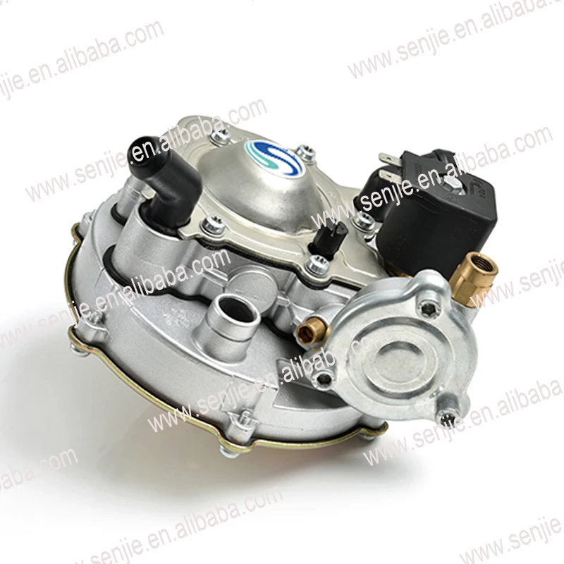 Auto Spare Parts Carburetor Lpg Kit Lpg Gas Converter Buy Lpg Gas