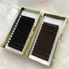 Volume Silk Mink Lashes Extensions Individual Lashes Extensions Can Made Premade Fans Trays