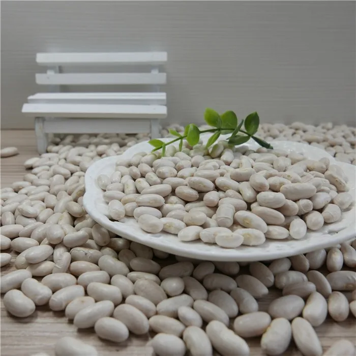 
Bulk Dried White Kidney Beans For Canned Food With Best Price 