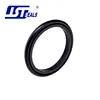 JST PTFE slip ring hydraulic scraper seals wiper seals