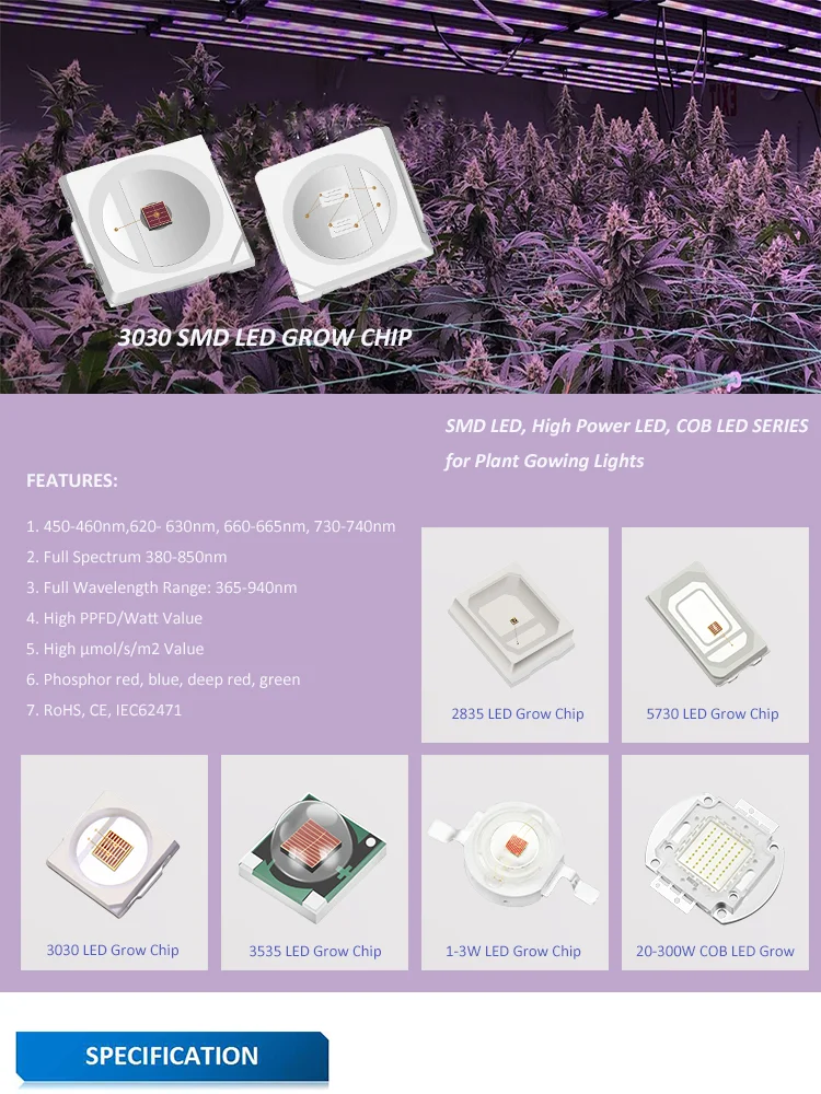 3030 Grow chip-2.png