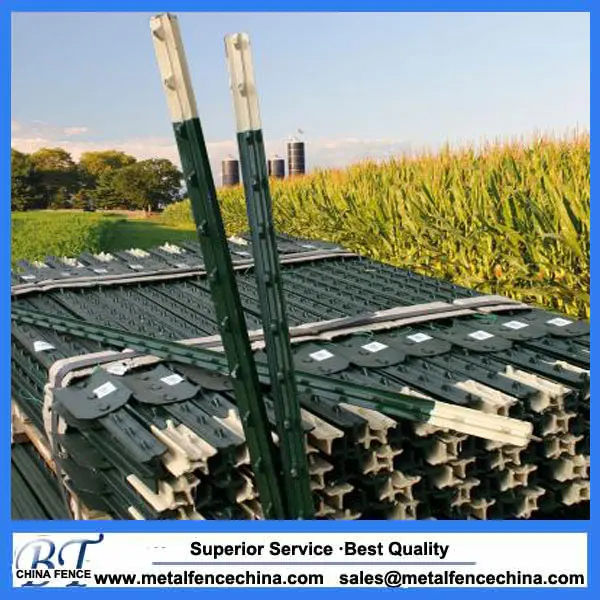 Cheap metal t-post wholesale Hot dipped galvanized studded t post for field fence with high quality foe sale