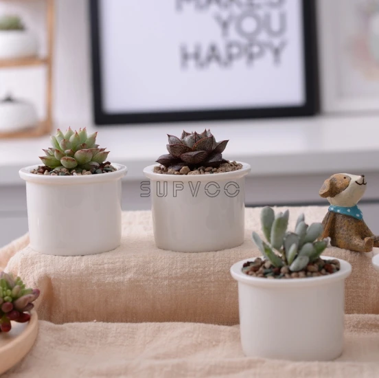 Succulents flower pot (4).jpg