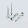 Hot dipped galvanized stainless steel coarse thread collated drywall screw