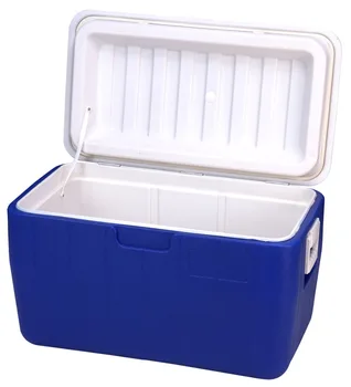 electric food cooler box
