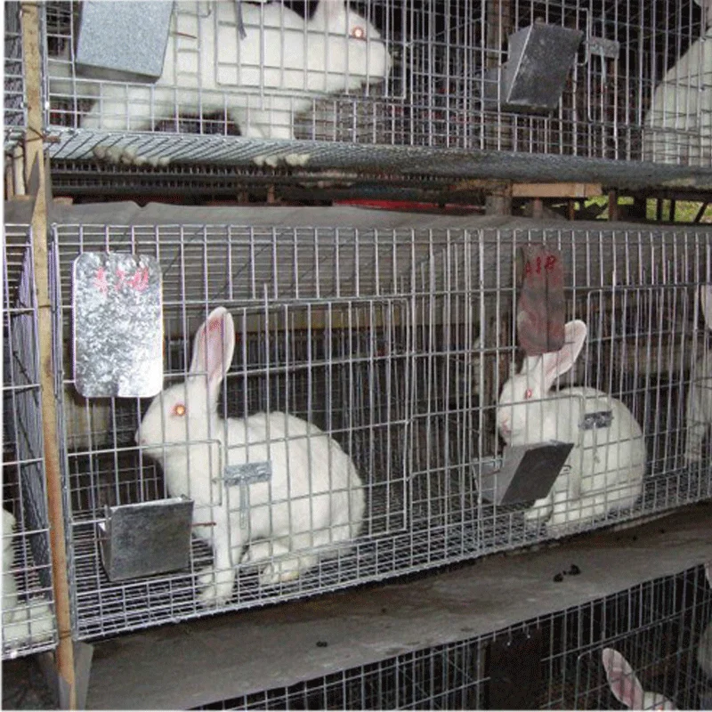 Factory Supply Commercial Rabbit Breeding Cages Buy Rabbit Cage Price