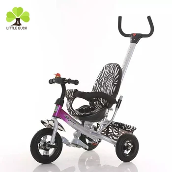 2 in 1 trike