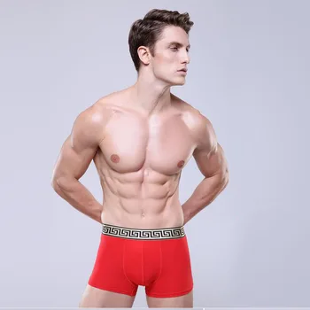 free underwear models