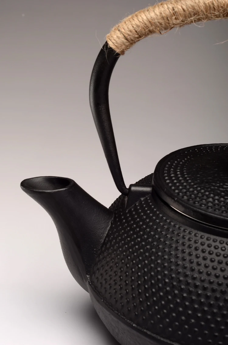 Japanese Cast Iron Teapot Directly On Fire With Stainless Steel Infuser