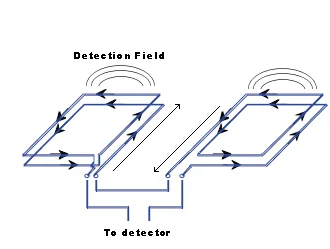 Loop_Field_Example.png