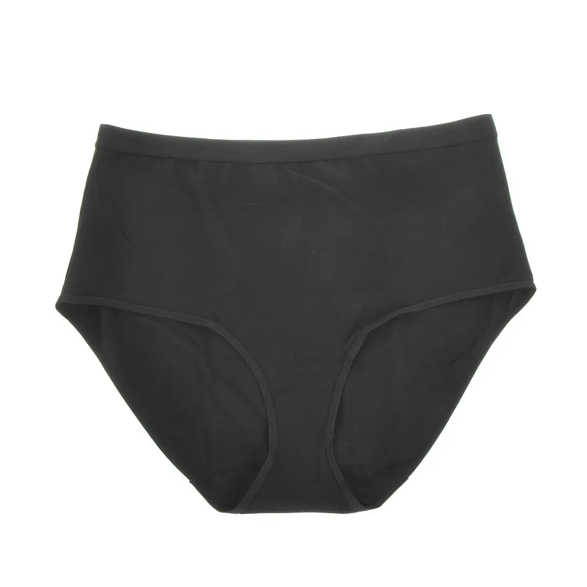 plus size full brief