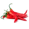 Good Sale Best Quality jinta Red Chilli/Chilli Pepper at Cheap Price