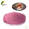 Freeze Dried fruit juice extract flavor organic pure strawberry juice powder