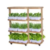 Auto timer 12 hours setting 3 layers vertical hydroponics farm system 120W for indoor plants