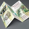 Glossy tri -folding brochure, magazine, flyer, book printing
