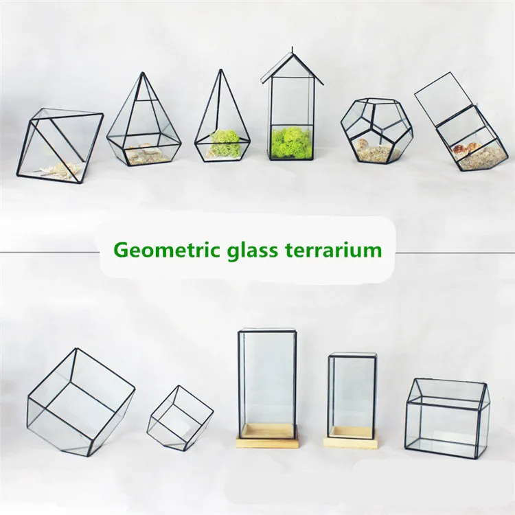 Various Designs Factory Wholesale Plants Geometric Terrarium Black Gold Geometric Glass
