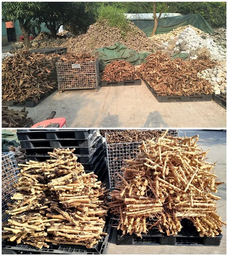 wood factory  (1).jpg