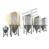 /product-detail/pub-hotel-restaurant-brewery-used-30hl-industrial-beer-brew-kettle-stainless-steel-wine-3000l-beer-conical-fermentation-tank-60731595651.html