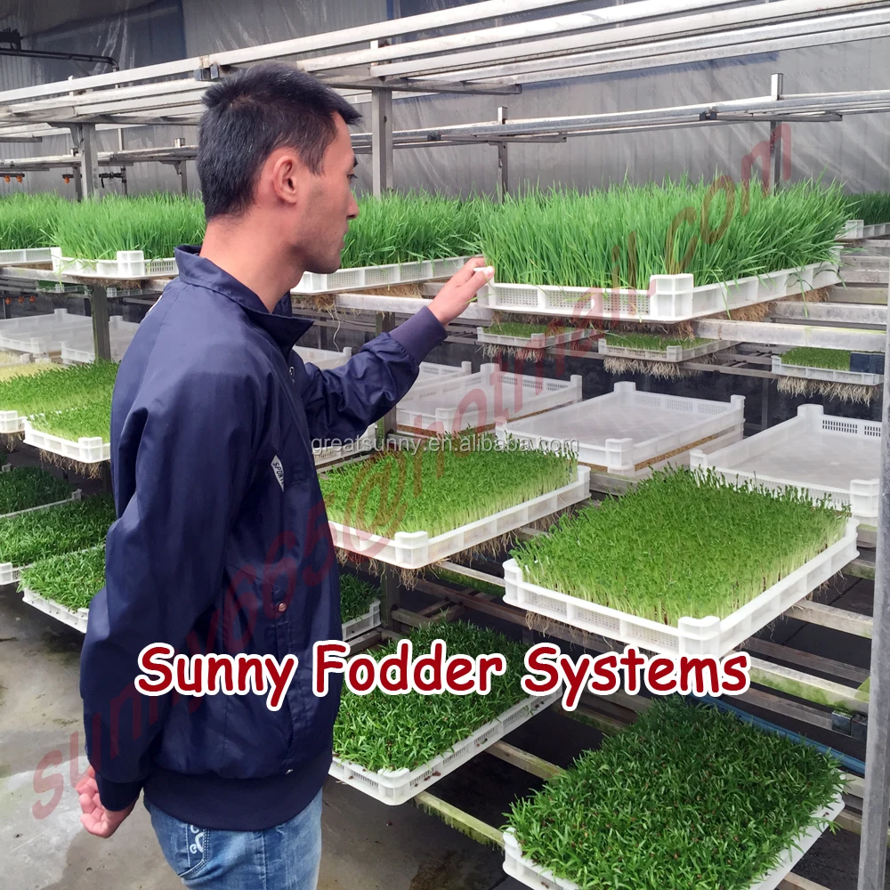 
Growing/sprout machine of seeds large capacity barley malt machine /hydroponic fodder machine(Radish red machine) 